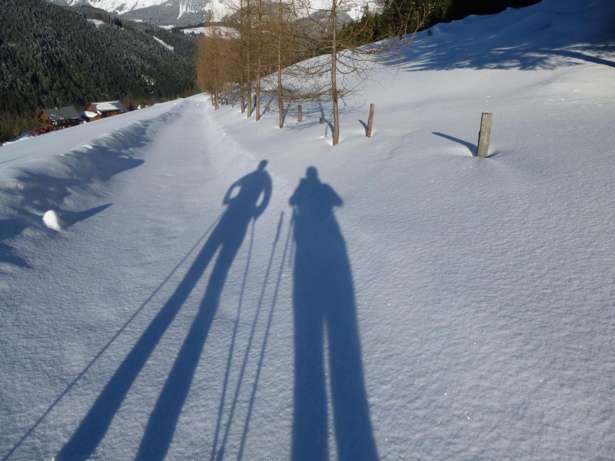 Fesengut Hotel Annaberg im Lammertal Luaran gambar