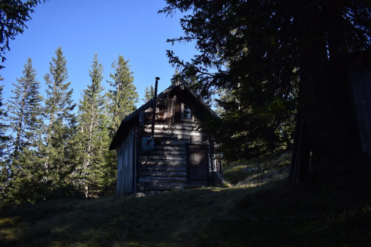Fesengut Hotel Annaberg im Lammertal Luaran gambar