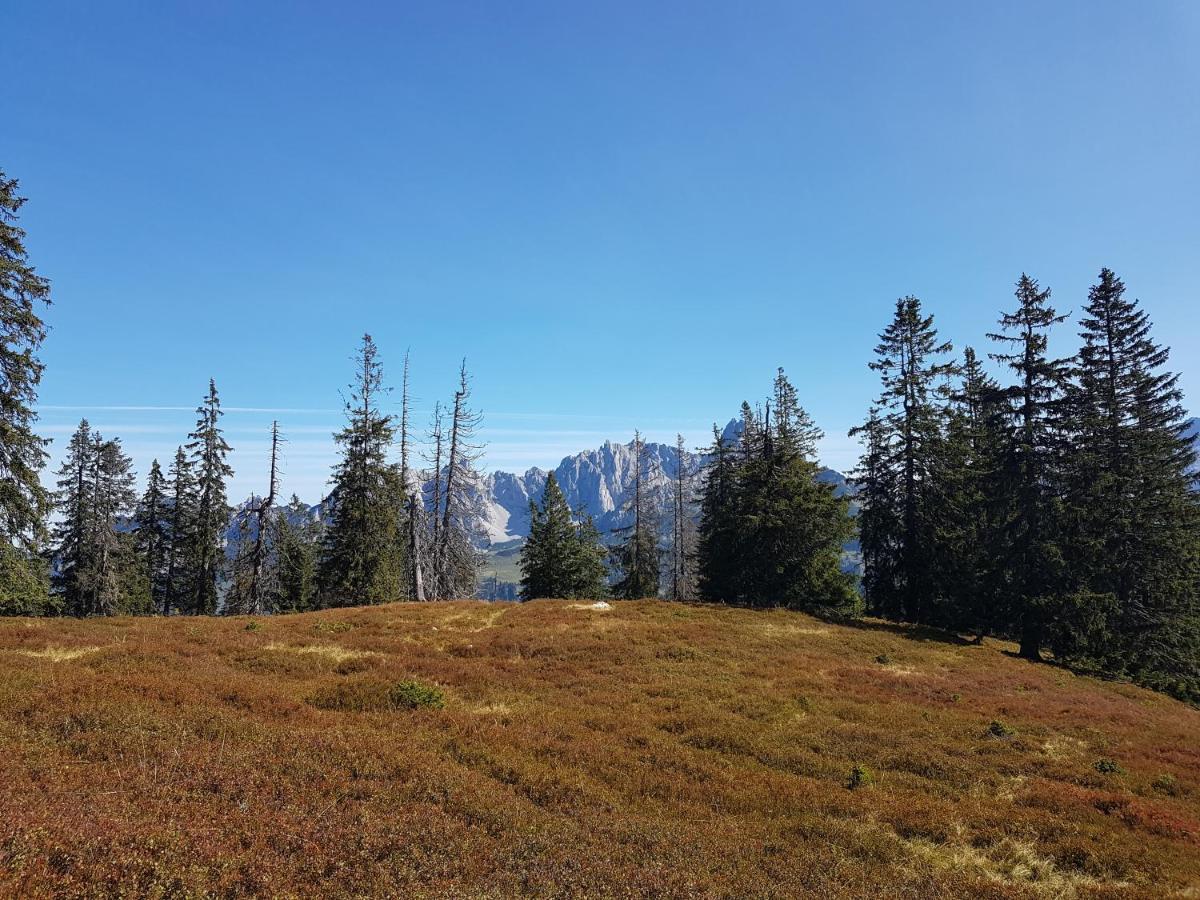 Fesengut Hotel Annaberg im Lammertal Luaran gambar