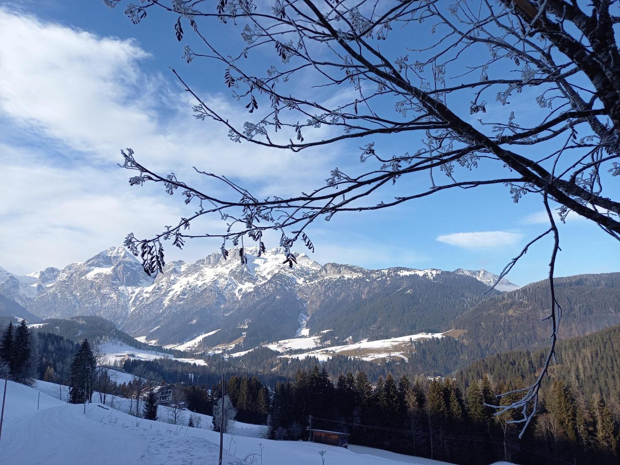 Fesengut Hotel Annaberg im Lammertal Luaran gambar