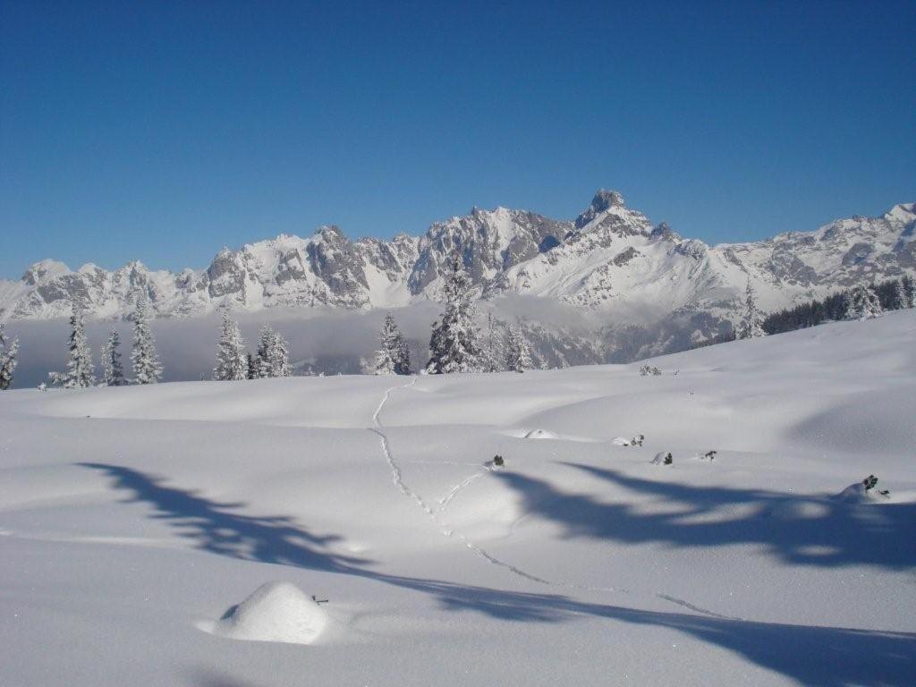 Fesengut Hotel Annaberg im Lammertal Luaran gambar