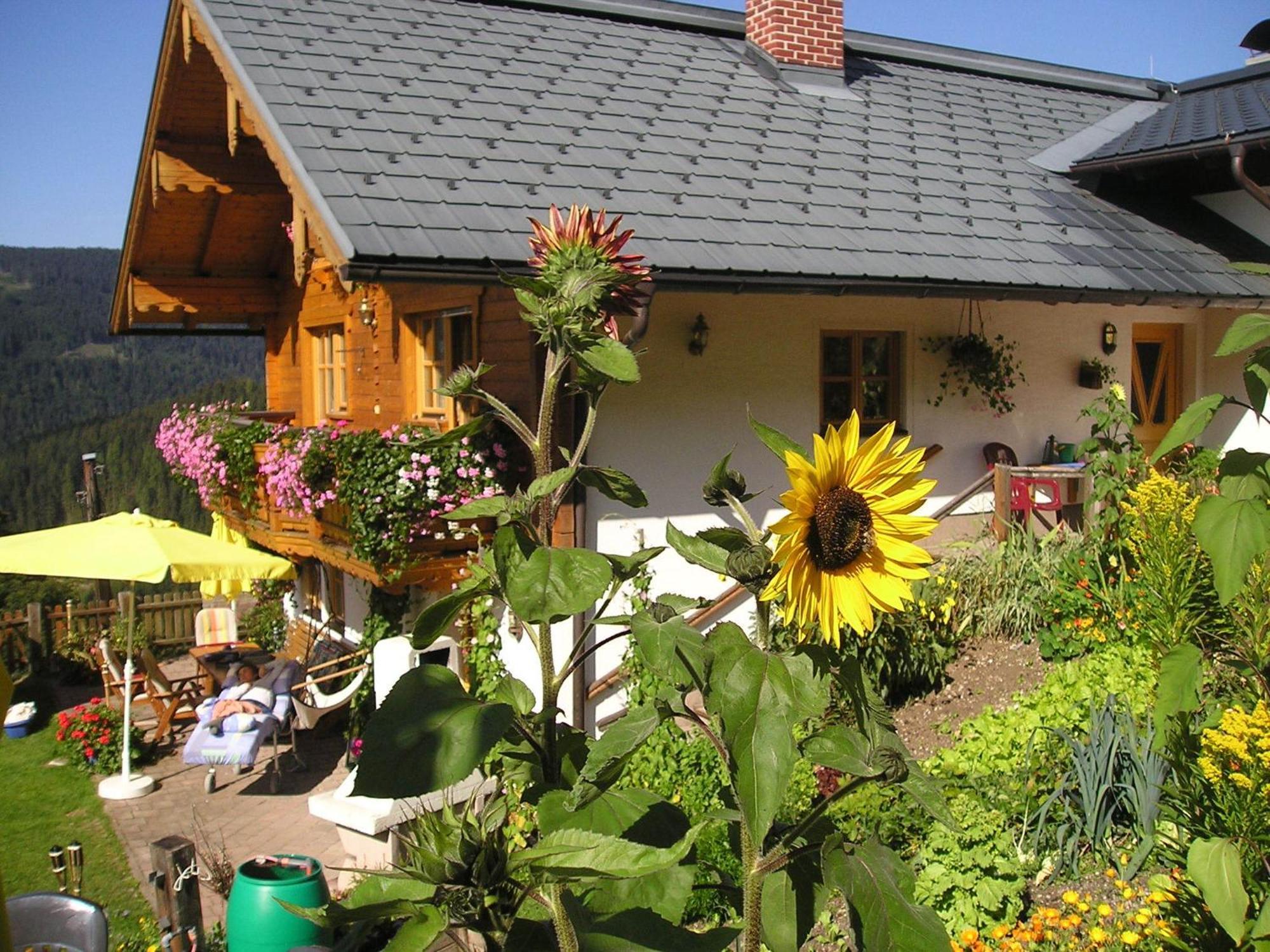 Fesengut Hotel Annaberg im Lammertal Luaran gambar
