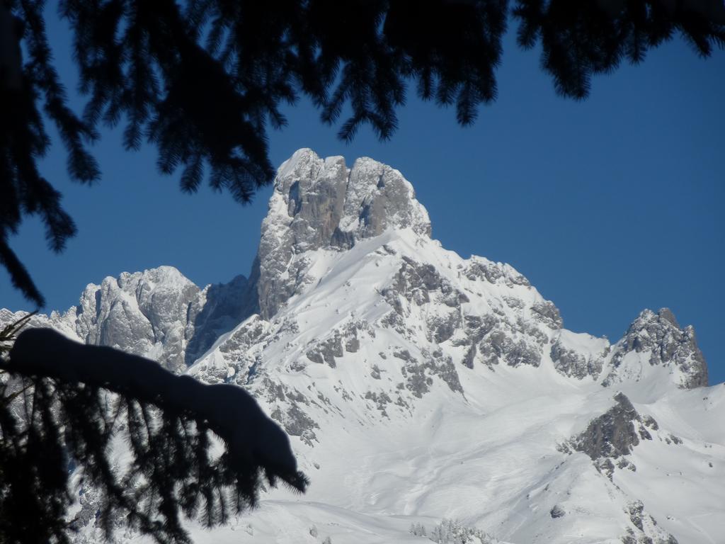 Fesengut Hotel Annaberg im Lammertal Luaran gambar